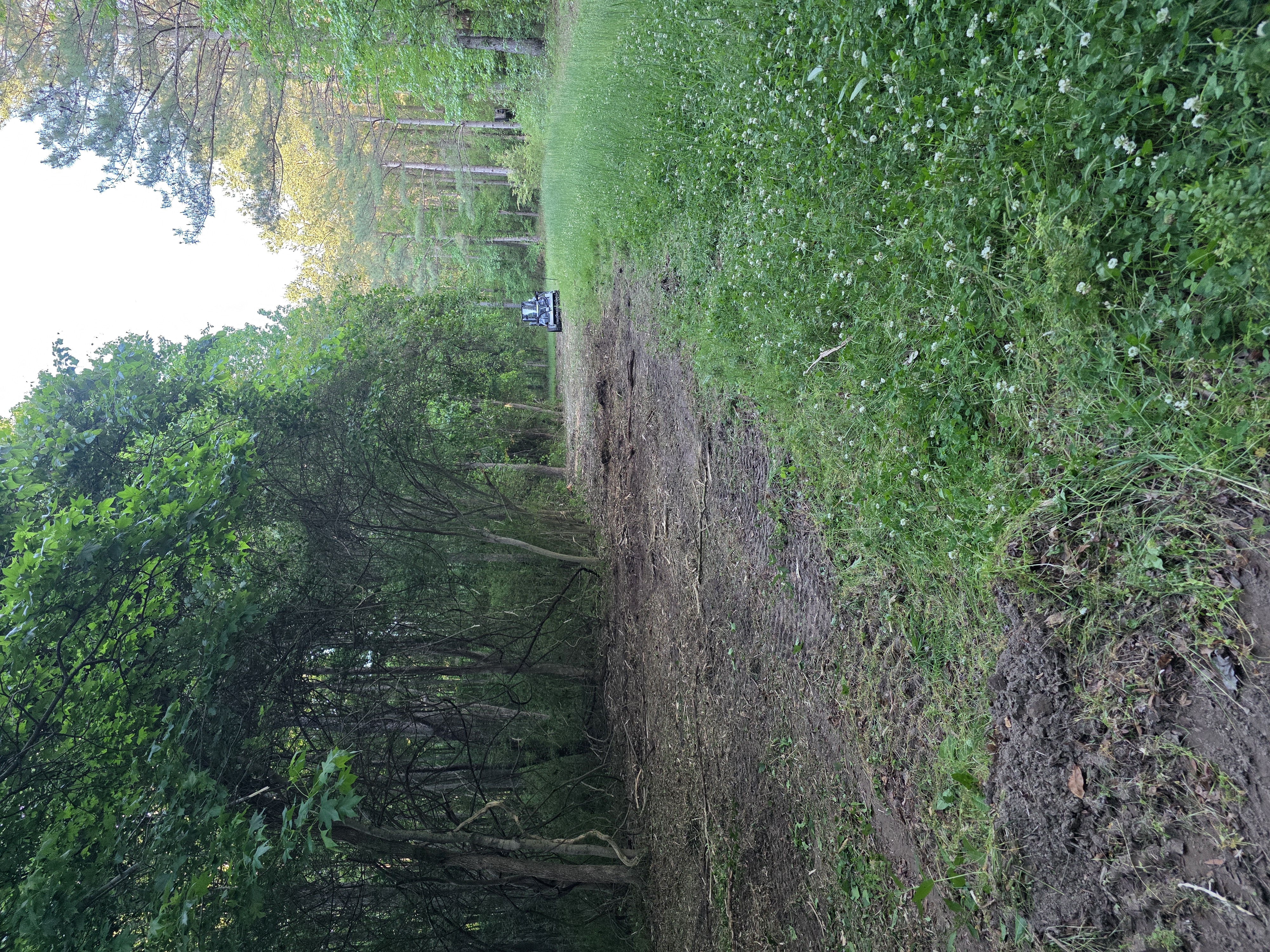 Fence Line Clearing