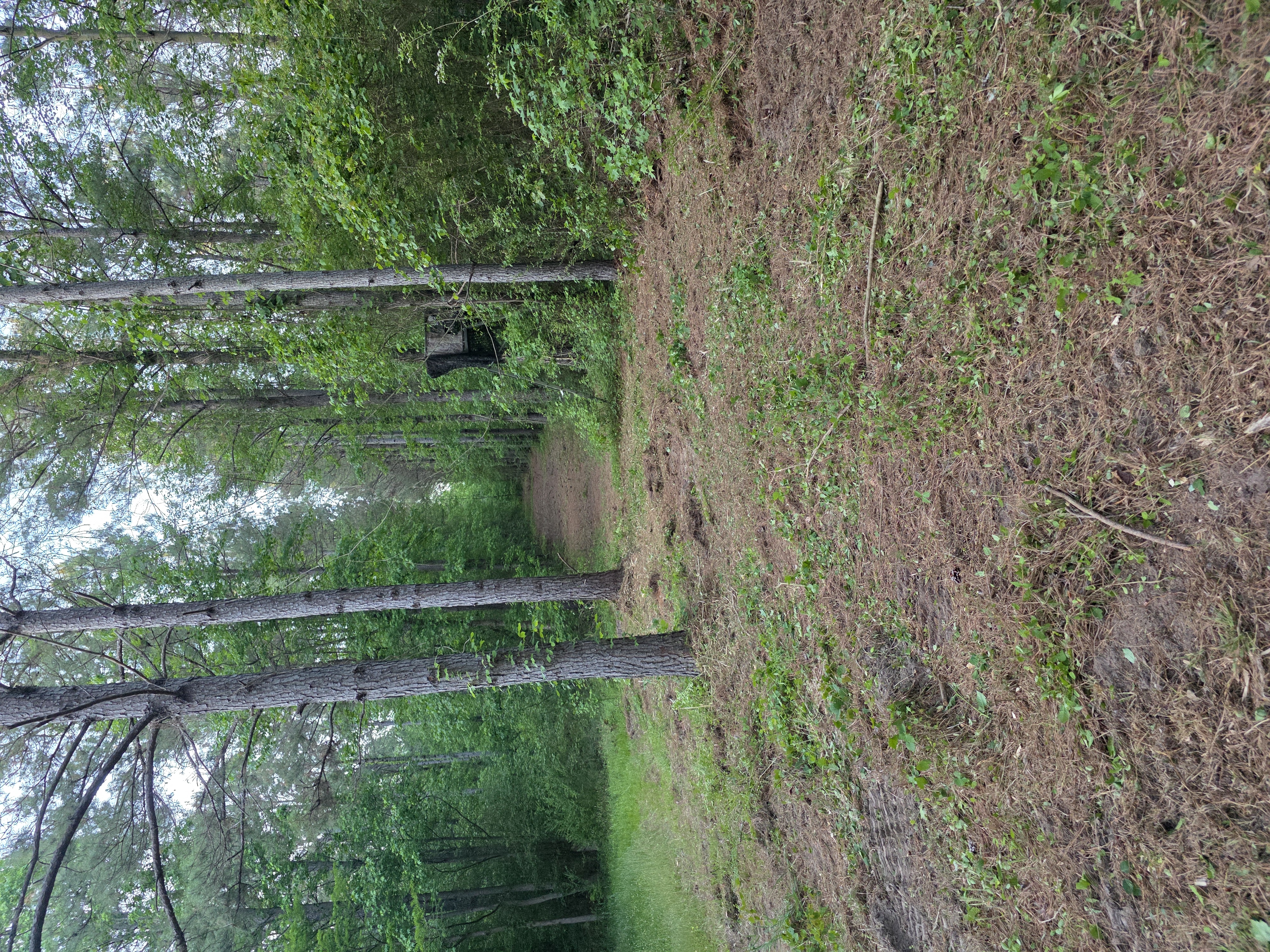 Wildlife Habitat Management