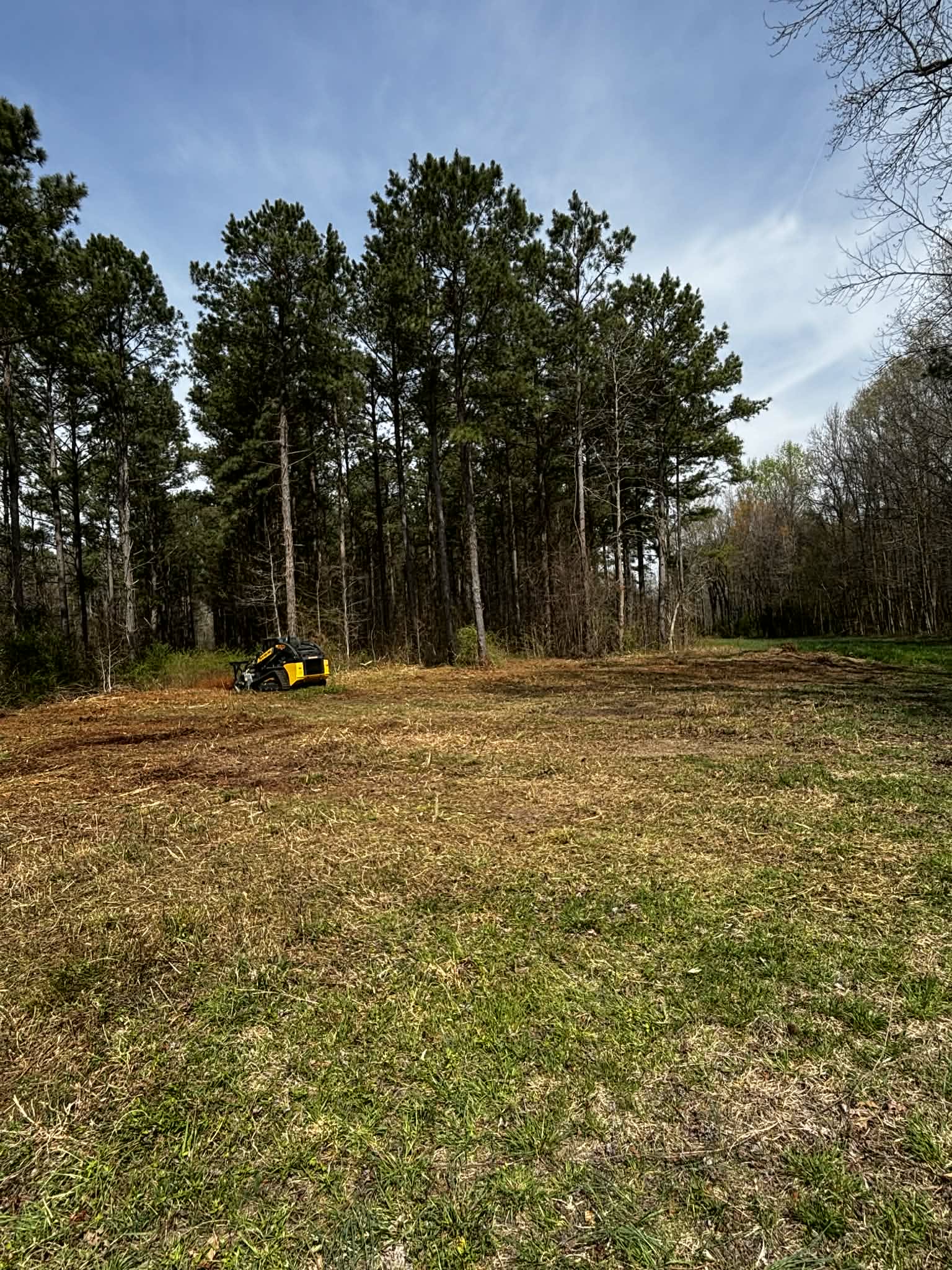 Forestry Mulching / Land Clearing