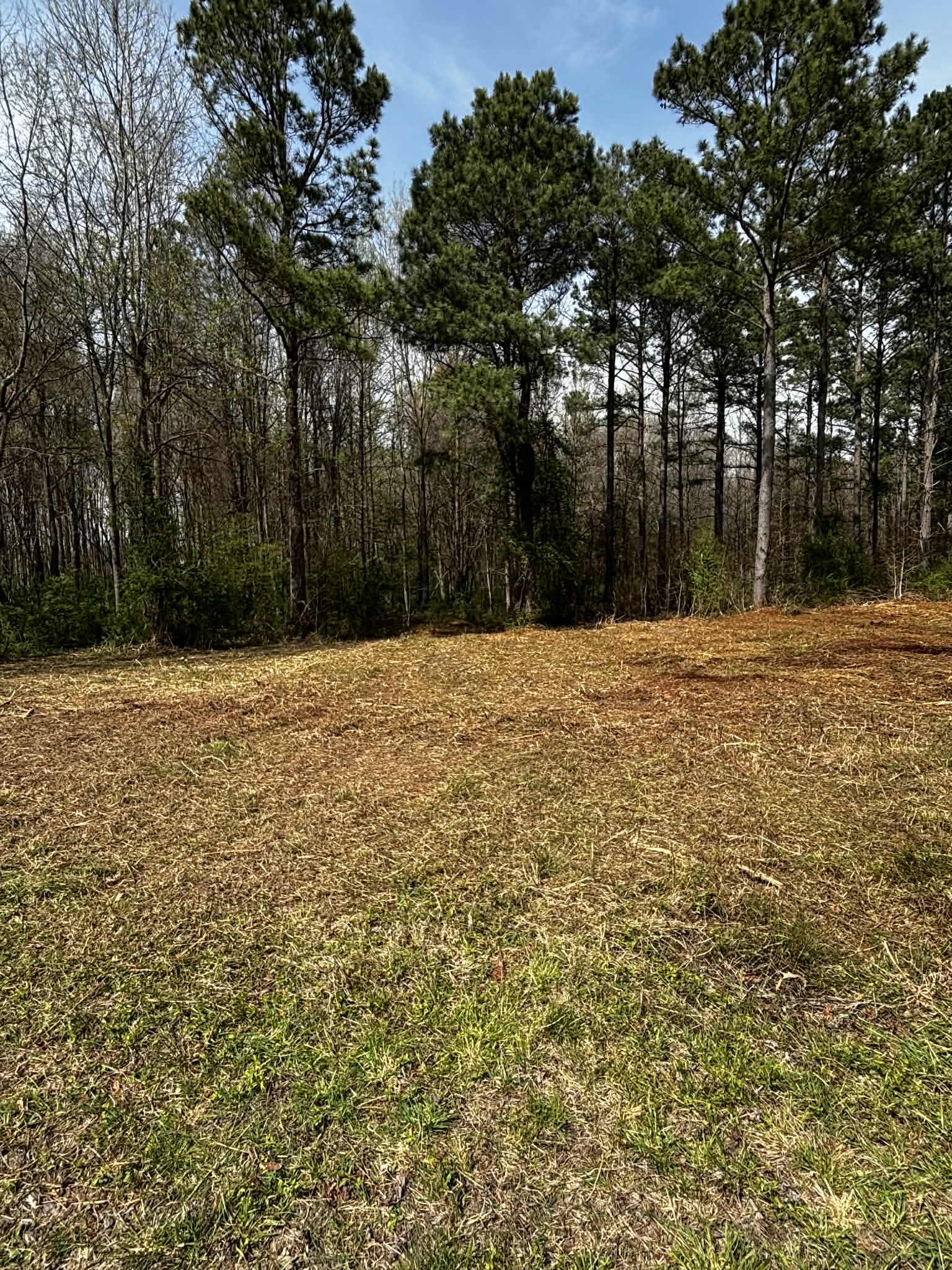 Residential Yard Reclaiming